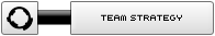 Team Strategy