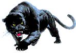 panther